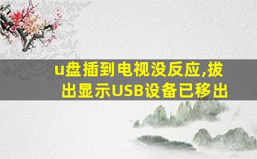 u盘插到电视没反应,拔出显示USB设备已移出