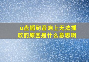 u盘插到音响上无法播放的原因是什么意思啊