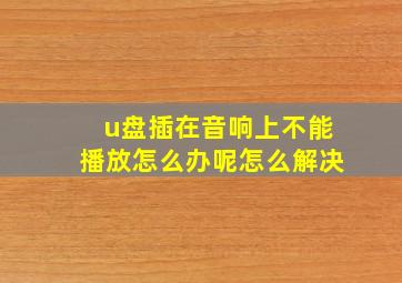 u盘插在音响上不能播放怎么办呢怎么解决