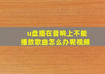 u盘插在音响上不能播放歌曲怎么办呢视频