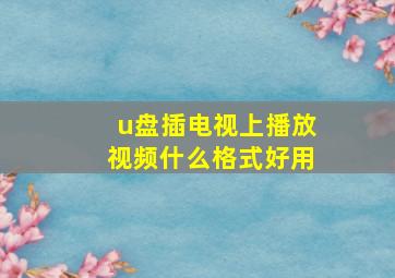 u盘插电视上播放视频什么格式好用