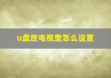 u盘放电视里怎么设置