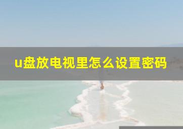 u盘放电视里怎么设置密码