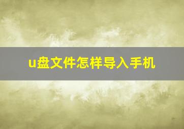 u盘文件怎样导入手机