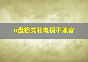 u盘格式和电视不兼容