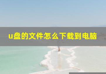 u盘的文件怎么下载到电脑