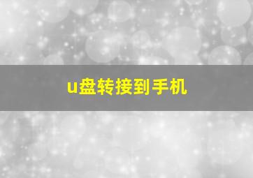 u盘转接到手机