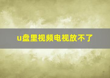 u盘里视频电视放不了