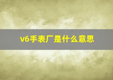 v6手表厂是什么意思