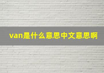 van是什么意思中文意思啊