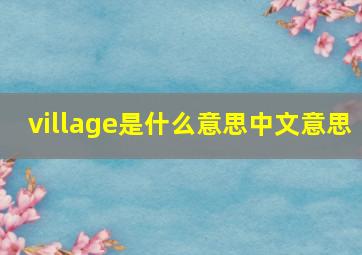 village是什么意思中文意思