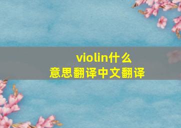 violin什么意思翻译中文翻译