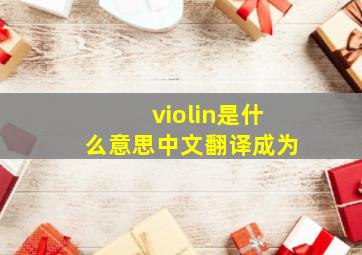 violin是什么意思中文翻译成为