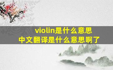 violin是什么意思中文翻译是什么意思啊了