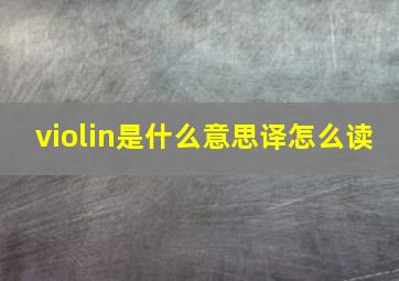 violin是什么意思译怎么读