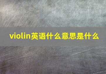 violin英语什么意思是什么