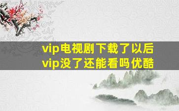 vip电视剧下载了以后vip没了还能看吗优酷