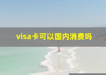 visa卡可以国内消费吗