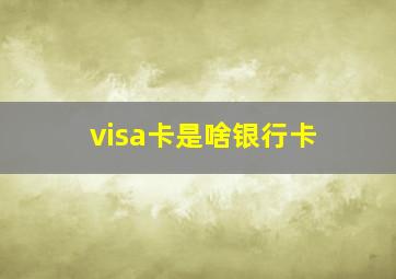 visa卡是啥银行卡