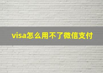 visa怎么用不了微信支付