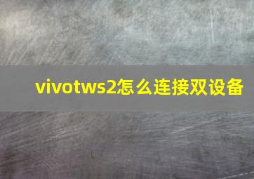 vivotws2怎么连接双设备