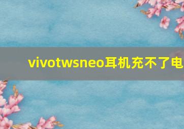 vivotwsneo耳机充不了电