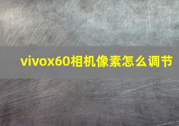 vivox60相机像素怎么调节