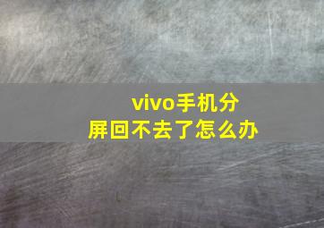 vivo手机分屏回不去了怎么办