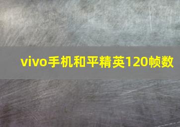 vivo手机和平精英120帧数