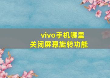 vivo手机哪里关闭屏幕旋转功能