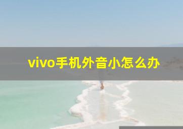 vivo手机外音小怎么办