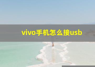 vivo手机怎么接usb