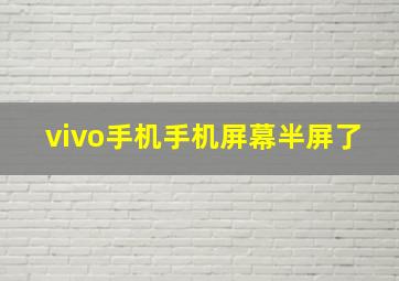 vivo手机手机屏幕半屏了