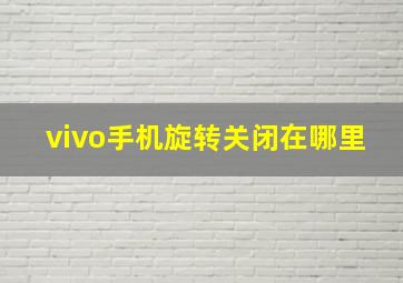 vivo手机旋转关闭在哪里