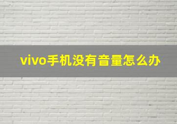 vivo手机没有音量怎么办