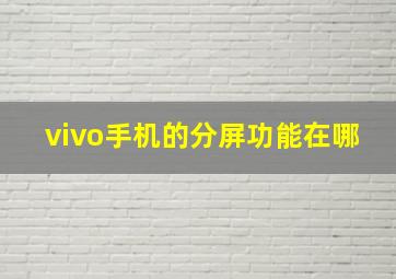 vivo手机的分屏功能在哪