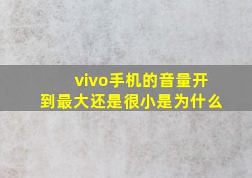 vivo手机的音量开到最大还是很小是为什么