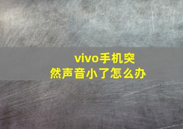 vivo手机突然声音小了怎么办