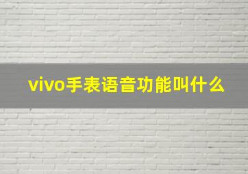 vivo手表语音功能叫什么