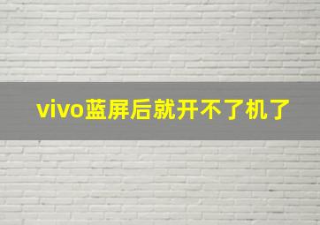 vivo蓝屏后就开不了机了