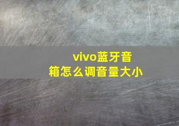 vivo蓝牙音箱怎么调音量大小