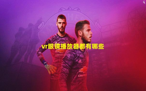 vr眼镜播放器都有哪些