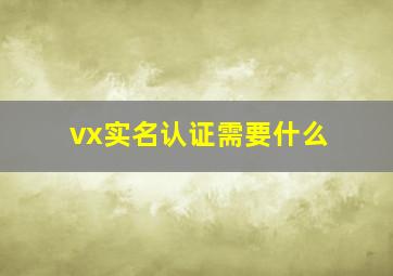 vx实名认证需要什么