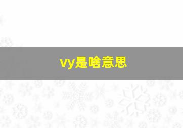 vy是啥意思