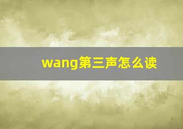 wang第三声怎么读