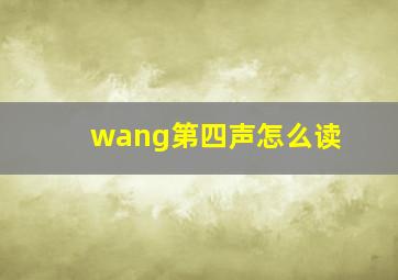 wang第四声怎么读