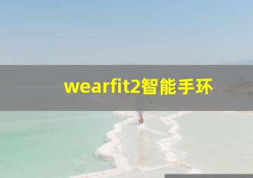 wearfit2智能手环