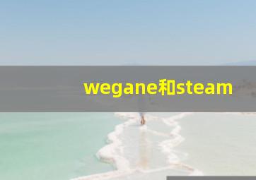 wegane和steam