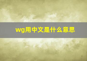 wg用中文是什么意思