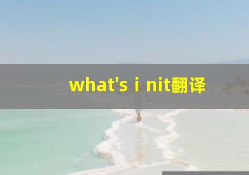 what'sⅰnit翻译